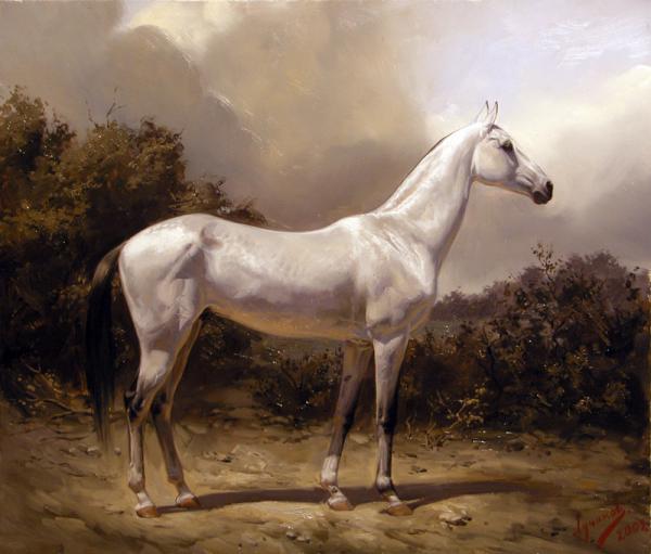 Polina & Dmitry Luchanov. Akhal-Teke stallion. oil on canvas 70-80cm 2009