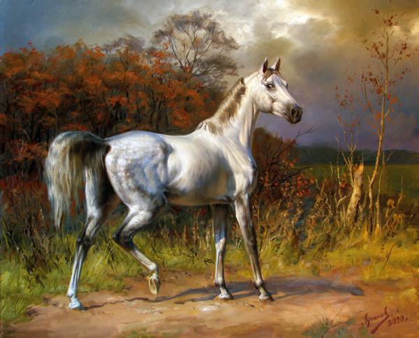 Polina & Dmitry Luchanov. gray stallion thoroughbred Arabian-breed. oil on canvas 85-70cm 2010